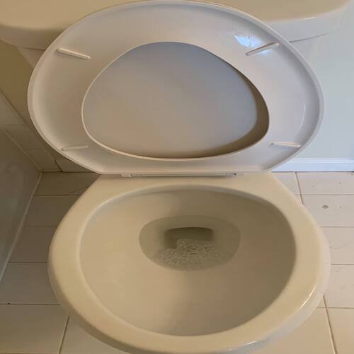 57317087_2234622719961858_2649786773416181760_n_500x500