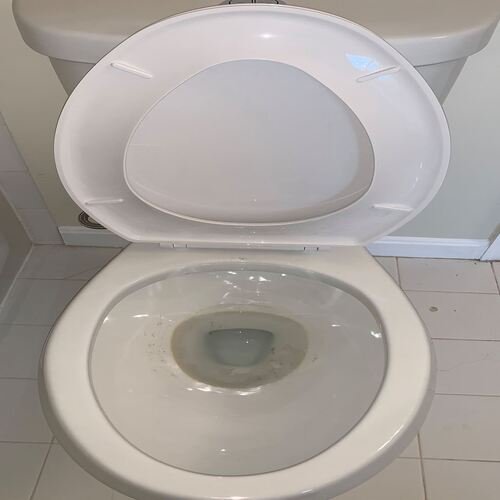 58372935_2234622726628524_6264638353052794880_n_500x500